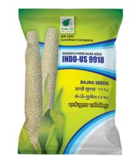 PearlMillet / Bajra Indo US 9918